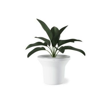 White luminous plant holder ORA