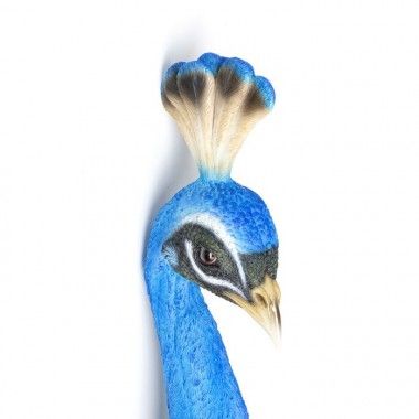 Decoração de parede com cabeça de pavão azul PAON
