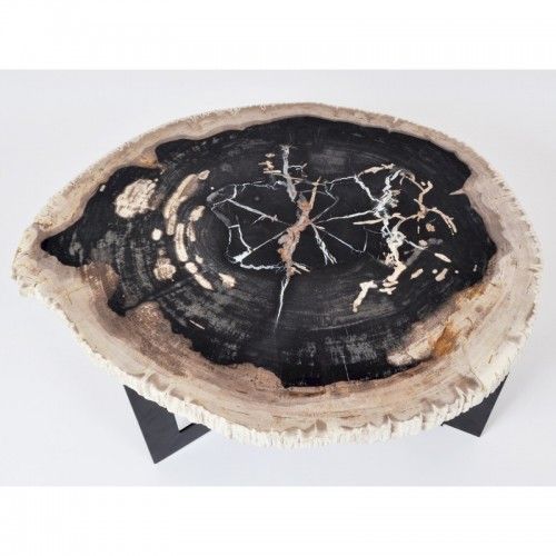 Petrified wood coffee table height 40 cm INCOGNITO